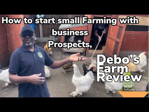 , title : 'How to start small farming with business prospects: A Debo's Farm Review by @Tellasisreviews.'