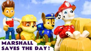 Can Marshall save the day for the other Paw Patrol pups?