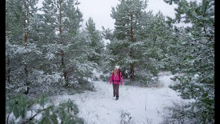 –20°C Alone in the Frozen Forest ❄️ Solo Winter Camping