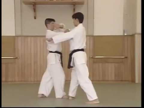 Kata mochi nikajo osae ichi