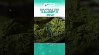 Rutin Minum Teh Hijau Bagus untuk Kesehatan, Inilah Manfaat Antioksidan