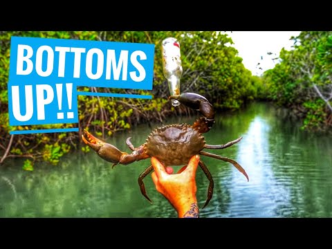 MUD CRAB CATCH AND COOK - MONSTER MUDCRABS - WEEKEND CAMPING WITH SICK PUPPY 4X4 & SKIDPIG