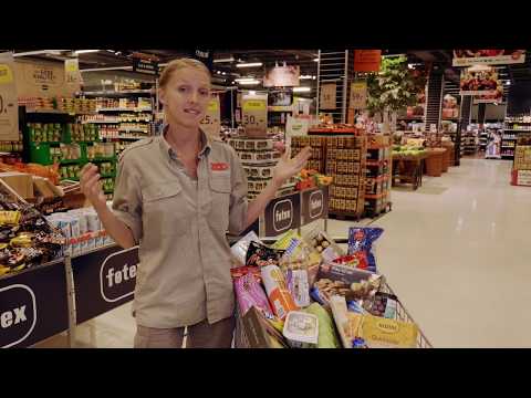 Hvad er palmeolie? (Perspektiver på regnskoven)