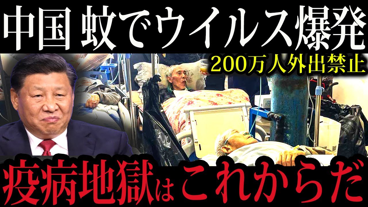 【中国崩壊】蚊でウイルス爆発！200万人外出禁止、装甲車突入の地獄…疫病地獄はこれからだ