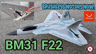 BM31 Dual Brushless Motor 1S F22 Unbox & Maiden🔥🔥 