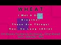 WHEAT-I Met A Girl/Breathe/These Are Things/Hey, So Long (Ohio)