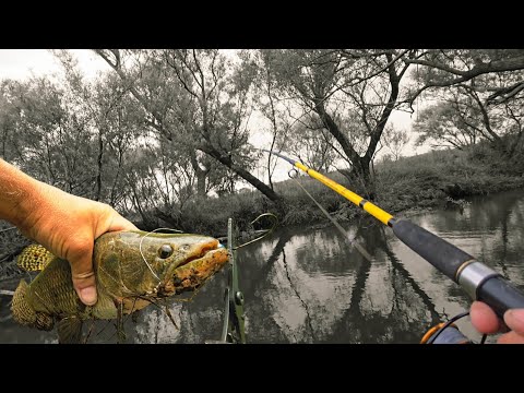 ARROYO de los HUESOS (Ruta 60)...entre Azul y Rauch. Pesca de TARUCHAS 
