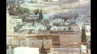 "The Avantgardist" doppler 20:20 {Muslimgauze remix}