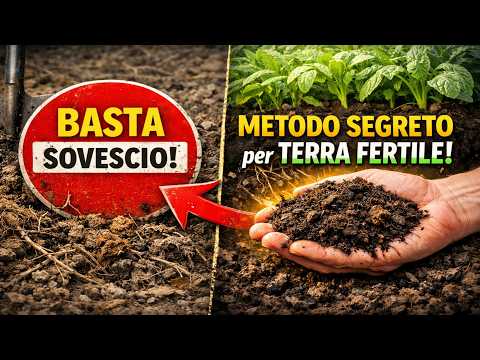No More Green Manure! The Alternative Method No One Tells You About for Super Fertile Soil
