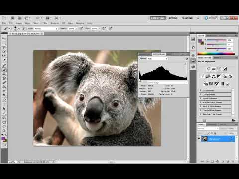 [3D Buzz][Photoshop CS5 Fundamentals] 072. Equalize
