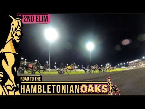 2022 Hambletonian Oaks 2nd Elim - Warrawee Xenia - 3FT