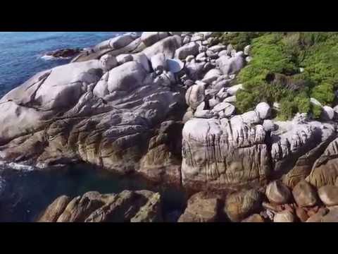 屋久島／永田いなか浜（ドローン空撮）