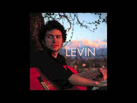 Levin - Taxidrive In Istanbul (