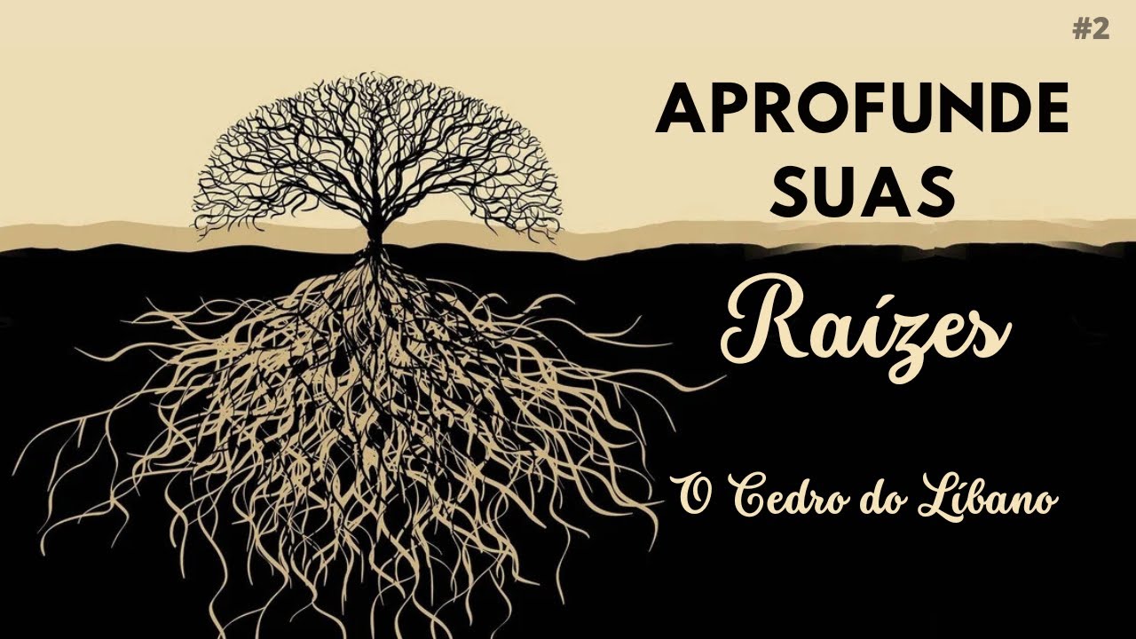 Aprofunde Suas Raízes #2 - O Cedro do Líbano