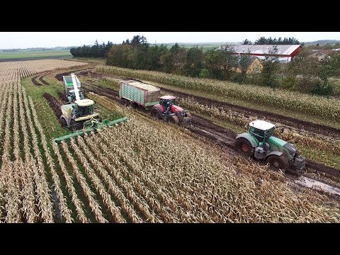 Maize Häckseln 2017 | Extremely Muddy Conditions | Krone BIG-X 580 | JD 8370R | Fendt 933 & 722