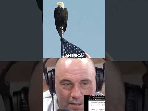 Joe Rogan Shocked by Bald Eagles