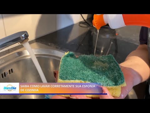 Saiba como lavar corretamente sua esponja de cozinha 21 05 2021