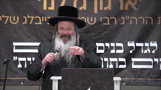 יום עיון ציפורי בכפר הרב שנייבלג חלק ב
