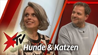 Haustier-Gadgets im Expertencheck mit Martin Rütter & Katharina Adick | stern TV Talk