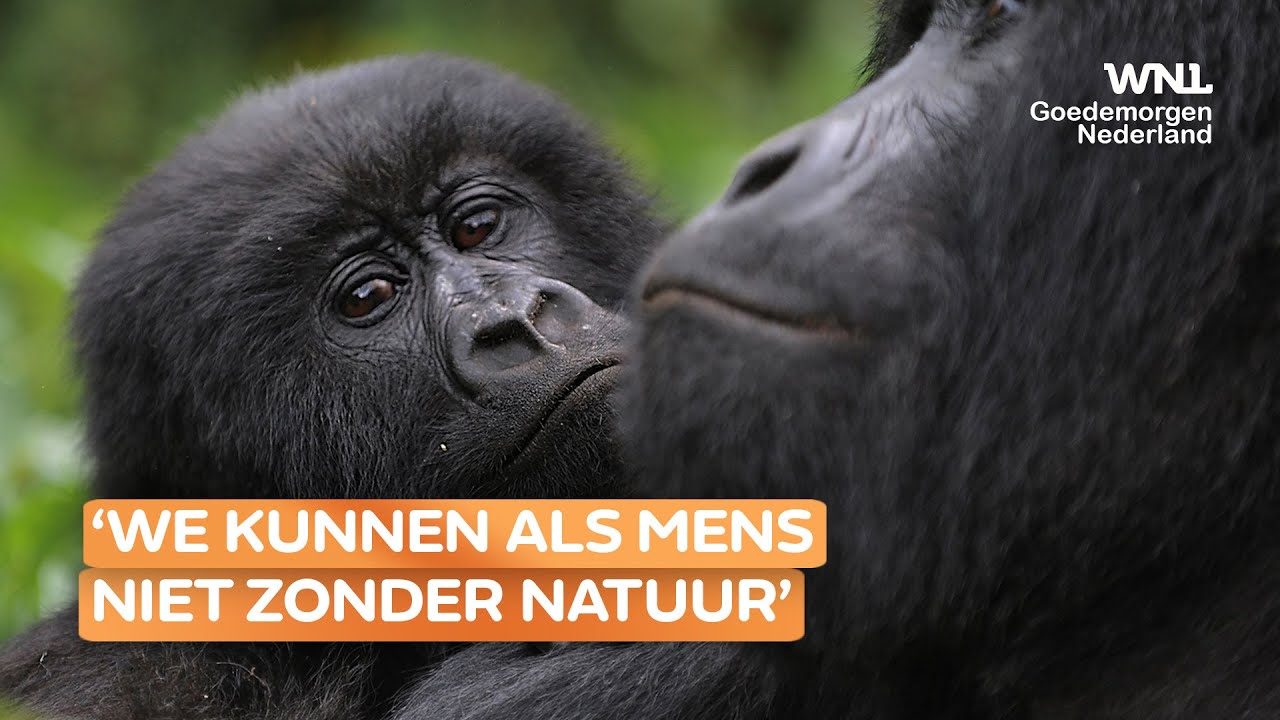 WWF slaat alarm: populatie wilde dieren daalde laatste 50 jaar met 73 procent