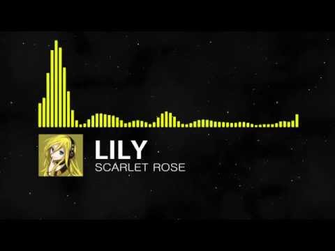 Lily - Scarlet Rose