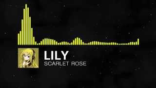 Lily - Scarlet Rose