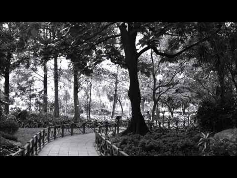 James Lowndes & Paul Lowndes - Only You (Alex H Remix)