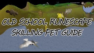 OSRS Skilling Pet Guide - Beaver - Heron - Baby Chinchompa - Rock Golem