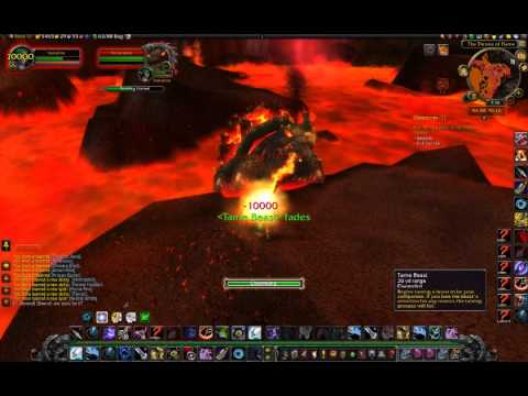 Terrorpene Tame - Rare Spawn Turtle in Mount Hyjal