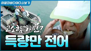 은빛 비늘에 담긴 고소함, 득량만 전어! #전어 #득량만 #바다 #전어회 #생선