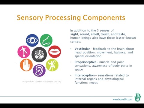 Sensory Processing 101 webinar