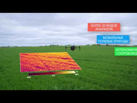 AgroOnline™: Агроном Video