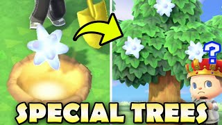 🌟🌳 What Can You Grow On SPECIAL TREES? | Animal Crossing New Horizons