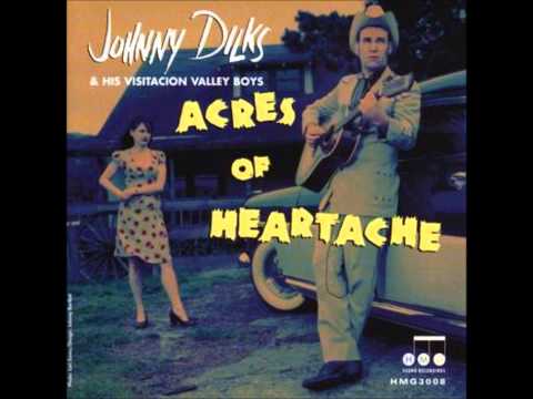 Johnny Dilks & His Visitacion Valley Boys - Yodel Till I Turn Blue