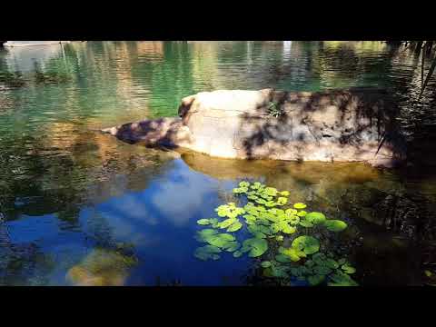 FoxRoo - Galvans Gorge, Kimberly, Western Australia