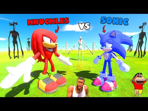 SONIC the HEDGEHOG vs KNUCKLES in Animal Revolt Battle Simulator | THOR HYDRA TOURNAMENT PART 6