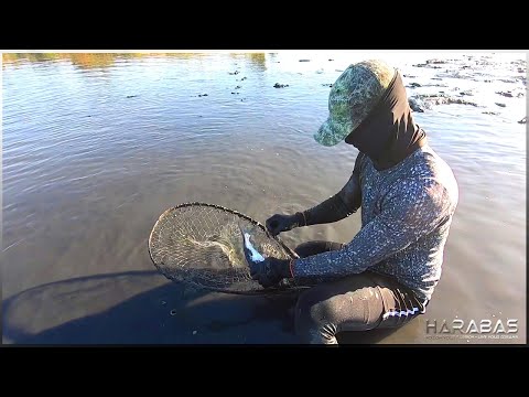 EP484-Part 1 - Paninimot ng Palaisdaan | Occ. Mindoro