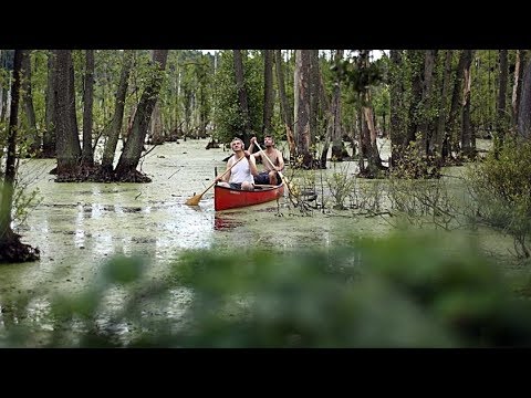 VON BIENEN UND BLUMEN | Trailer deutsch german [HD]