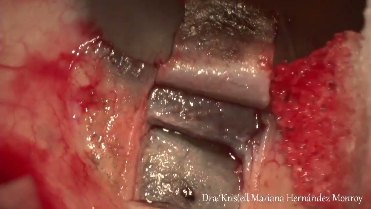 Kristell Mariana Hernández Monroy-14