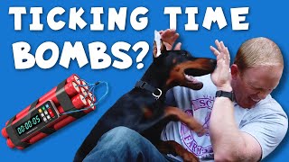 Why Do Dobermans Turn on Their Owners?