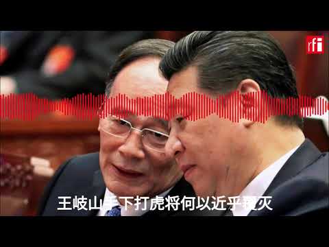 王岐山手下打虎将何以近乎覆灭