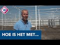 Hoe is het nu met kwekers van de ingestorte kas? - OMROEP WEST
