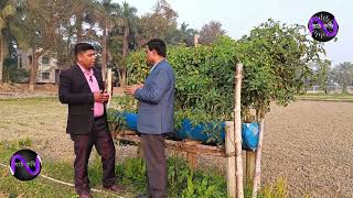 ঝুলন্ত কৃষি।