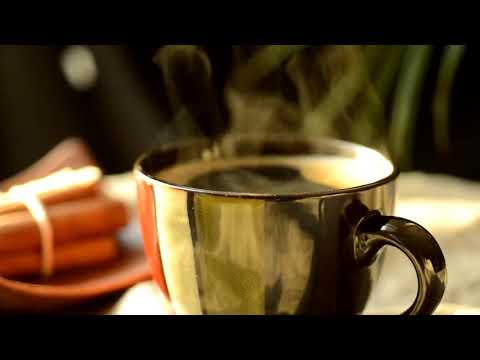 Positive Mood Jazz   beautiful Sunny Jazz Cafe Music