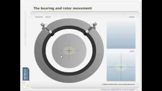 Vibration Analysis - Orbit Plots-Centerline Diagram - Mobius Institute