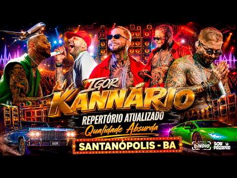 IGOR KANNÁRIO em Santanópolis - BA  Julho 2026 #repertórioatualizado #musicasnovas #praparedão