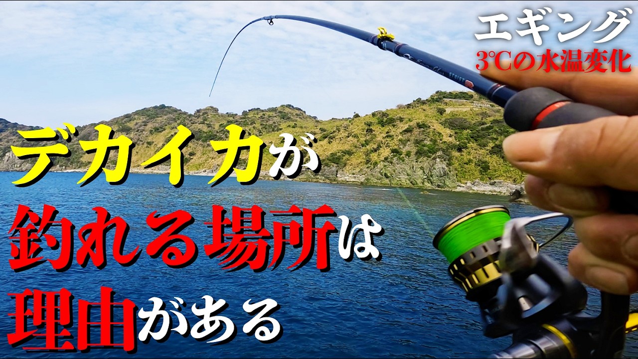 【エギング】デカイカが釣れる場所には理由があった！同海域で3℃の水温変化！
