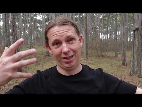 Kontrollierter und automatisierter Schussablauf. Diverse Zusammenhänge