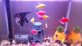 Download lagu DANGDUT ORGEN TUNGGAL DOA SUCI 🎹 | Lagu Kalem Pilihan Terlaris 2025 - Enak Banget Buat Santai! mp3 Download lagu DANGDUT ORGEN TUNGGAL DOA SUCI 🎹 | Lagu Kalem Pilihan Terlaris 2025 - Enak Banget Buat Santai! mp3