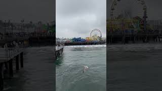 Download lagu Santa Monica Beach is Epic Even on A Rainy Dayπ³ Los Angeles is Truly The Greatest Place π mp3 Download lagu Santa Monica Beach is Epic Even on A Rainy Dayπ³ Los Angeles is Truly The Greatest Place π mp3